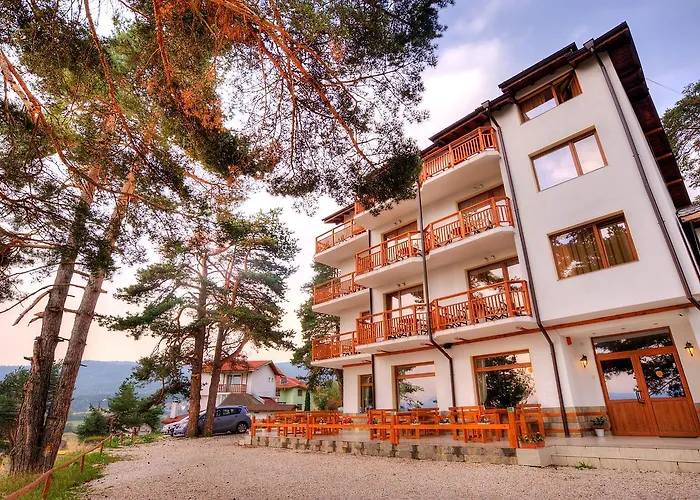 Santa Maria تسيغوف تشارك