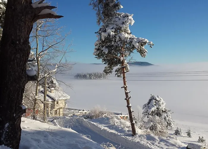 Santa Maria تسيغوف تشارك